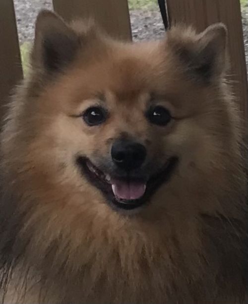 Ando von der Wunderburg